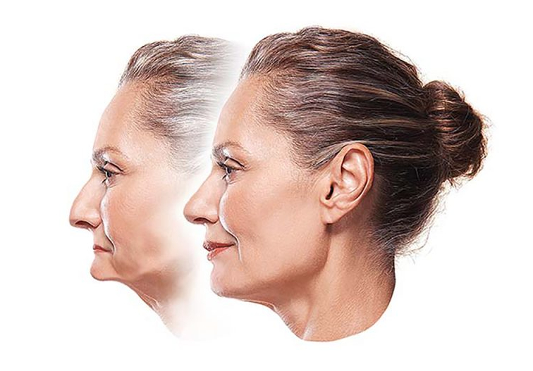 Tooth Loss Leads to Jaw Bone Reduction Noida